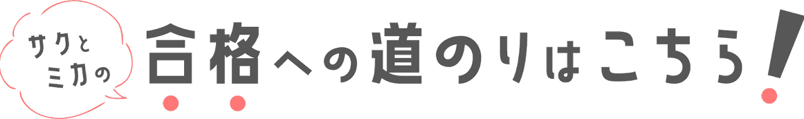サクとミカの合格への道のりはこちら！